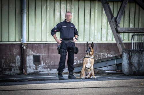 03102026-DemoENPP1