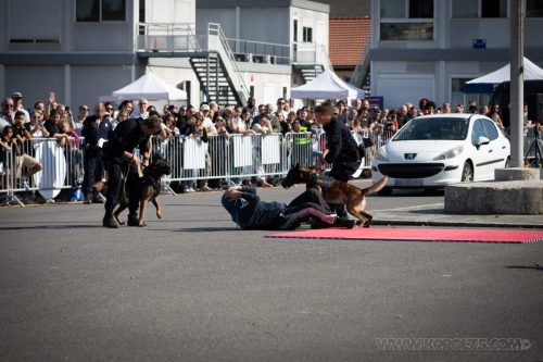 03102026-DemoENPP10