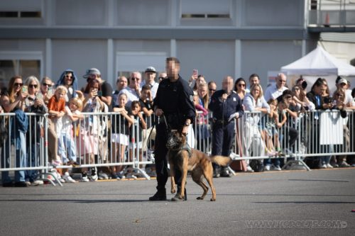 03102026-DemoENPP11