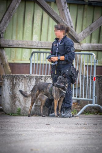 03102026-DemoENPP15