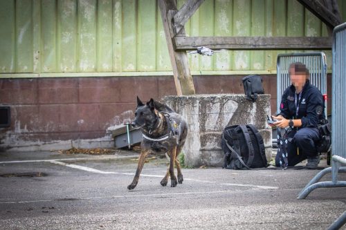 03102026-DemoENPP16