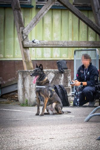 03102026-DemoENPP17