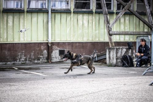 03102026-DemoENPP18