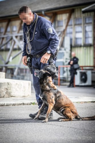 03102026-DemoENPP24
