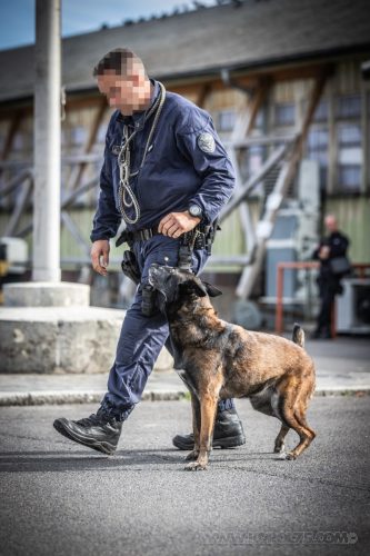 03102026-DemoENPP25