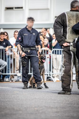 03102026-DemoENPP29