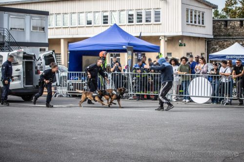 03102026-DemoENPP31