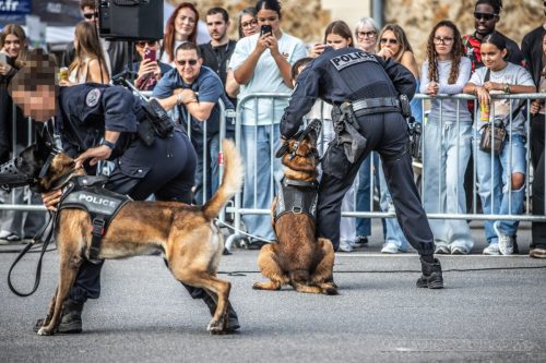 03102026-DemoENPP35