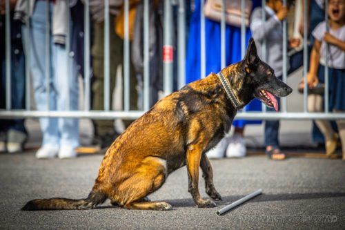 03102026-DemoENPP41