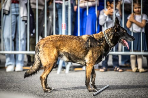 03102026-DemoENPP42