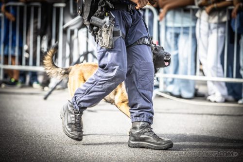 03102026-DemoENPP43