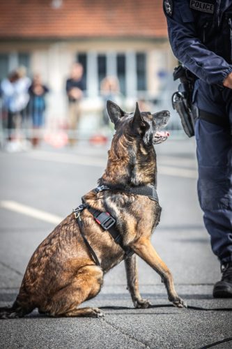 03102026-DemoENPP45