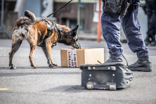 03102026-DemoENPP48