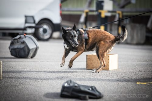 03102026-DemoENPP49