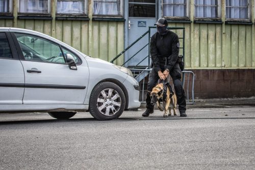 03102026-DemoENPP54