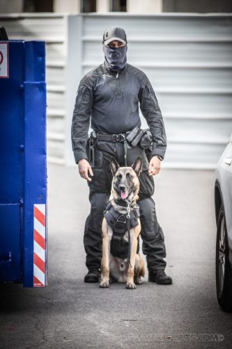 03102026-DemoENPP55