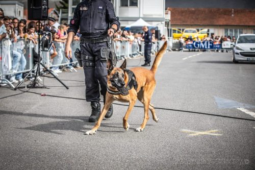 03102026-DemoENPP56
