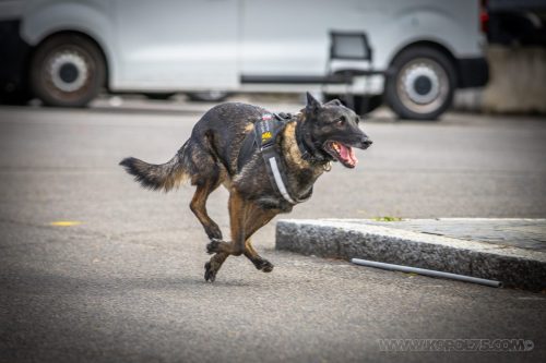 03102026-DemoENPP57
