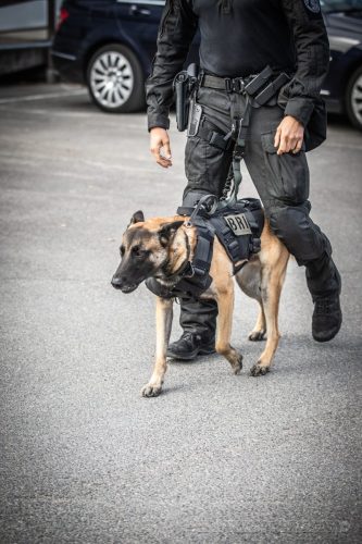03102026-DemoENPP59
