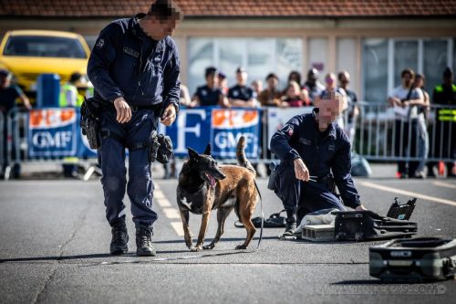 03102026-DemoENPP6