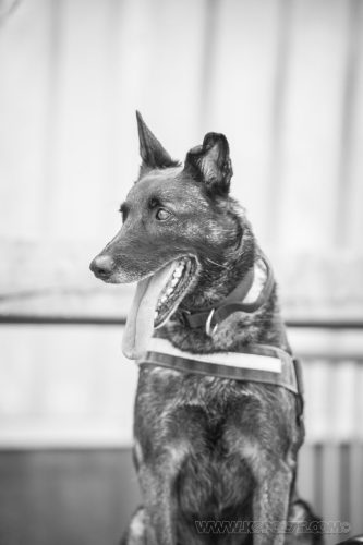 03102026-DemoENPP60