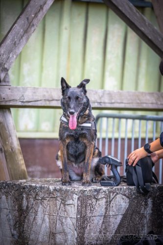 03102026-DemoENPP62