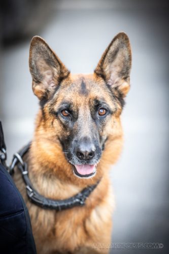 03102026-DemoENPP64