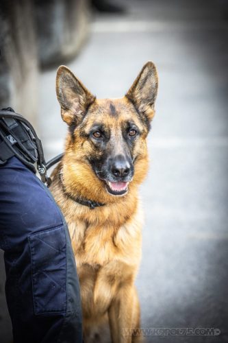 03102026-DemoENPP65