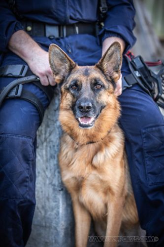 03102026-DemoENPP68
