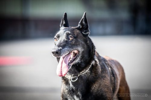 03102026-DemoENPP72