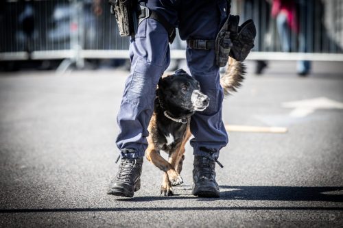 03102026-DemoENPP73