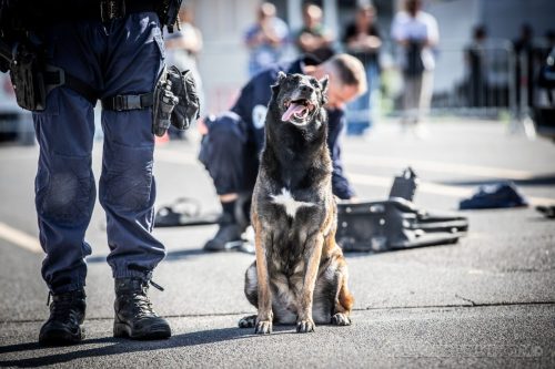 03102026-DemoENPP75
