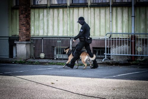 03102026-DemoENPP77