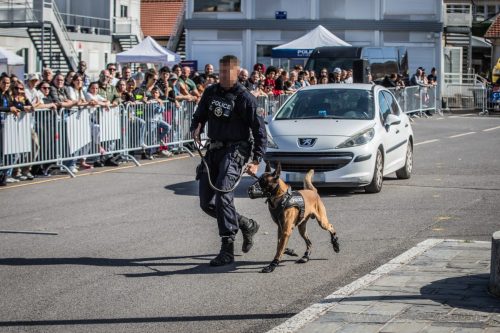 03102026-DemoENPP9