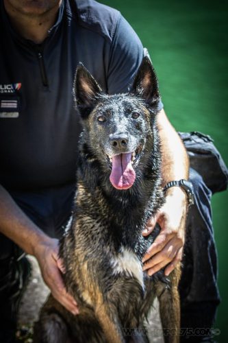 09072026-Nala5