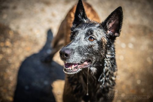 09072026-Nala9