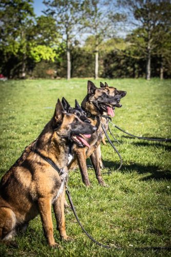 14042026-GrpeStambi16