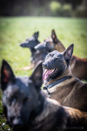 20032026-GrpeSTAMBI8