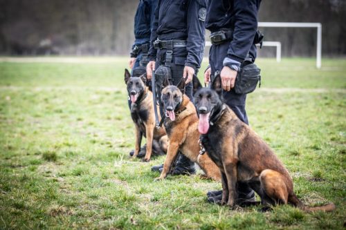 20260227-Uta-Aika-Gohan13