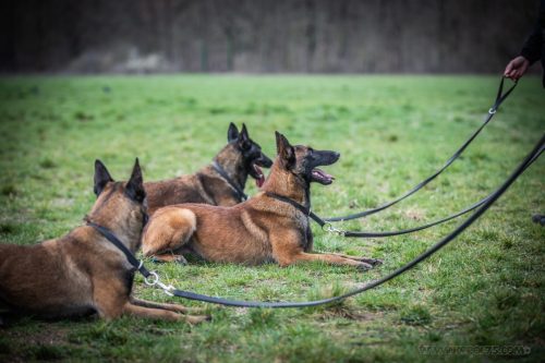 20260227-Uta-Aika-Gohan3