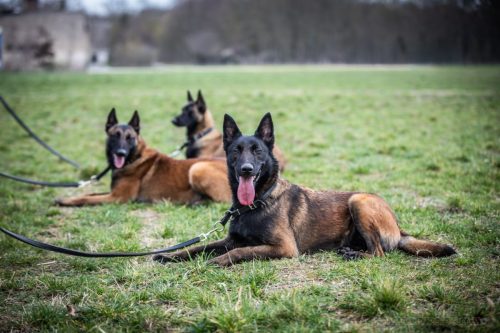 20260227-Uta-Aika-Gohan4