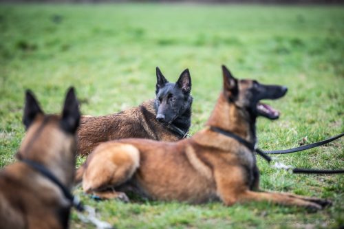 20260227-Uta-Aika-Gohan5