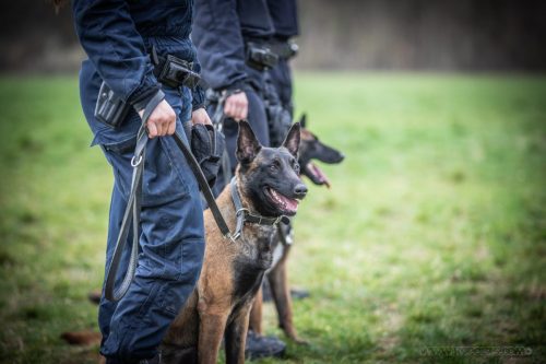 20260227-Uta-Aika-Gohan7