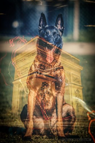 Arc de Triomphe in Paris France