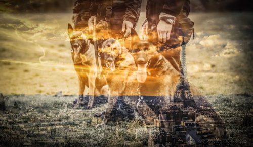Paris, beautiful Haussmann facades and roofs, with the Eiffel To