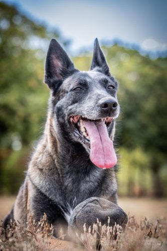 21082026-Nala2