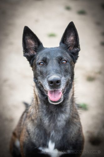 21082026-Nala6