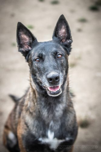 21082026-Nala7
