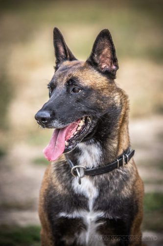 21082026-Ragnar11