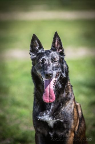 22052026-Nala1